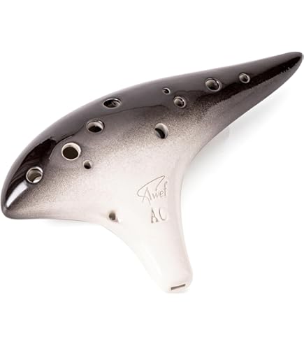 Amazon.com: Focalink Osawa 12 Holes Alto C Blue ABS Resin (Sturdy